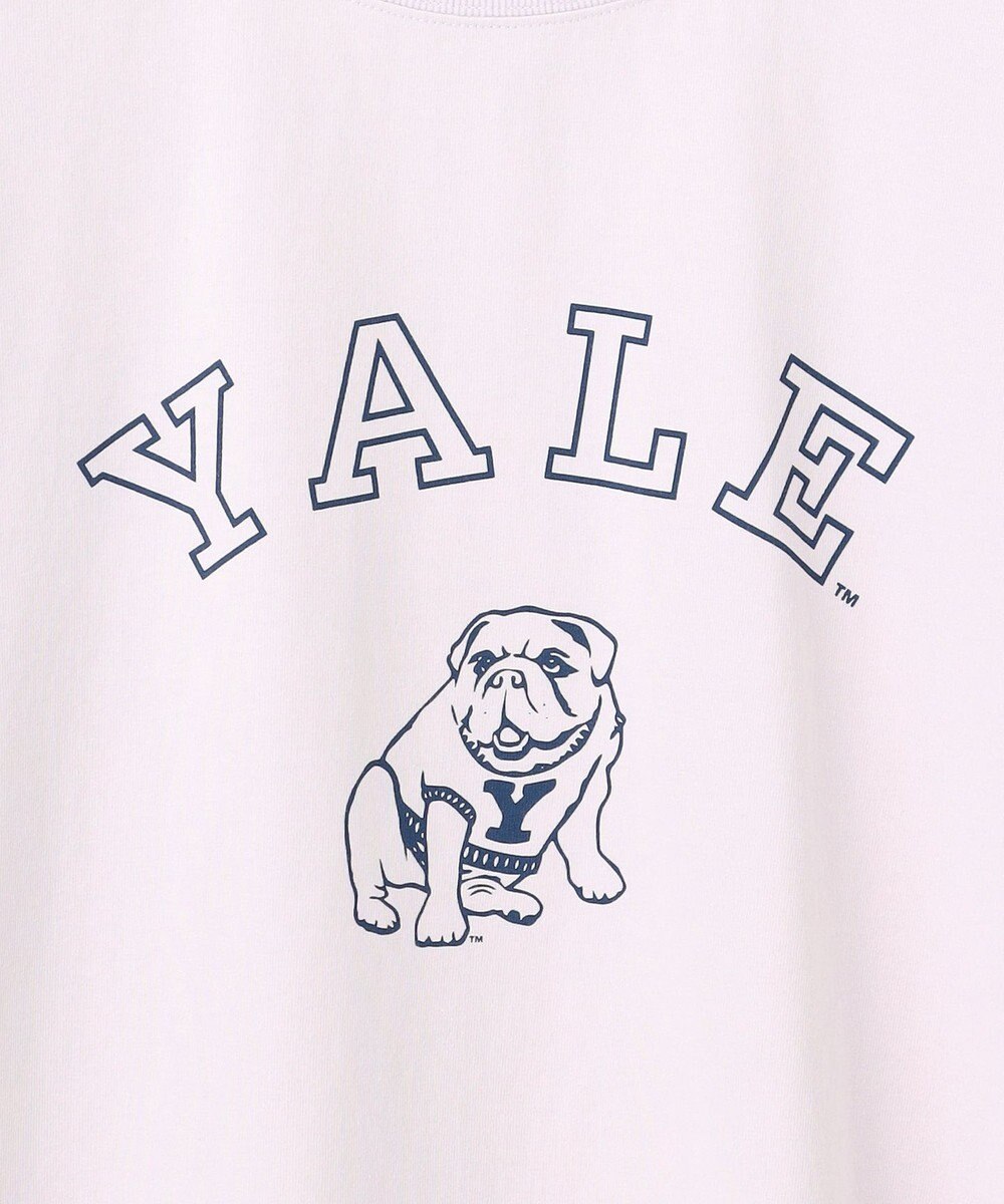 J.PRESS YORK STREET 【UNISEX】YALEブルドックプリント Tシャツ 