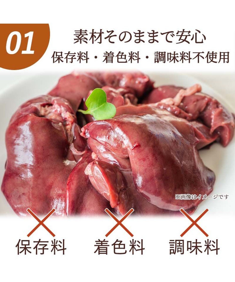 PET PARADISE  フリーズドライ  鶏レバー 40g 国産 