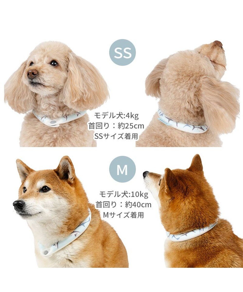 PET PARADISE ペットパラダイス ２８℃ クールリング ３Ｓ 《サメ柄》 