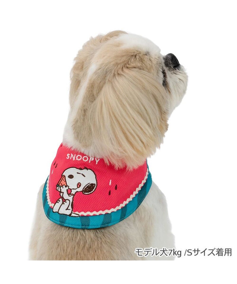 PET PARADISE スヌーピー クールバンダナ 《スイカ柄》 小型犬 