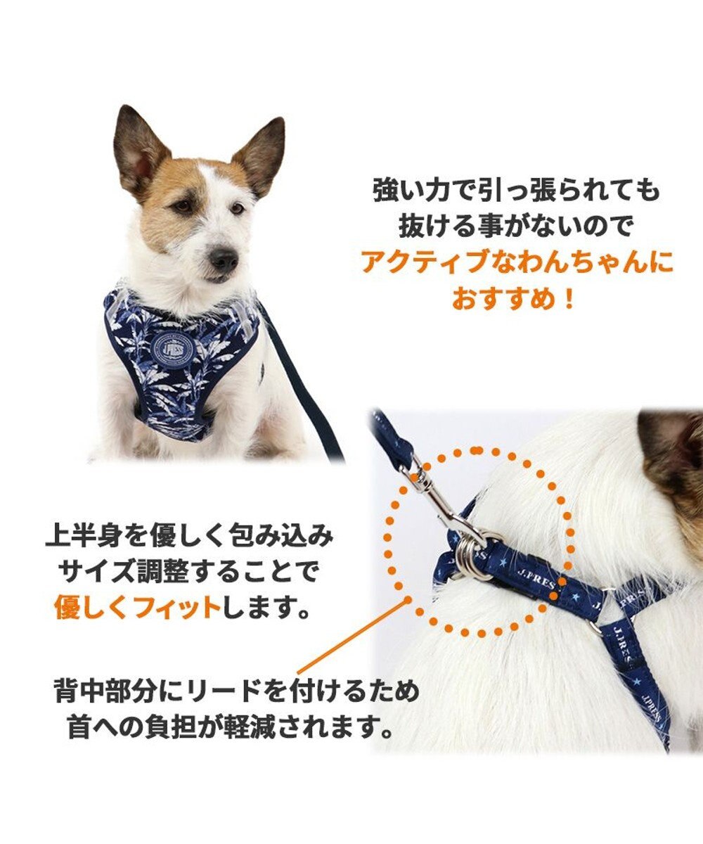 犬 ハーネス リード J.PRESS ハーネス＆リード 〔ＳＳ〕 リーブス 小型