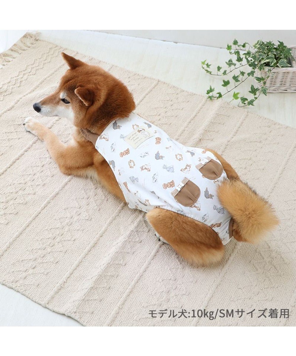 PET PARADISE ペットパラダイス makokoro マナーオール 《わんちゃん柄》 中型犬 