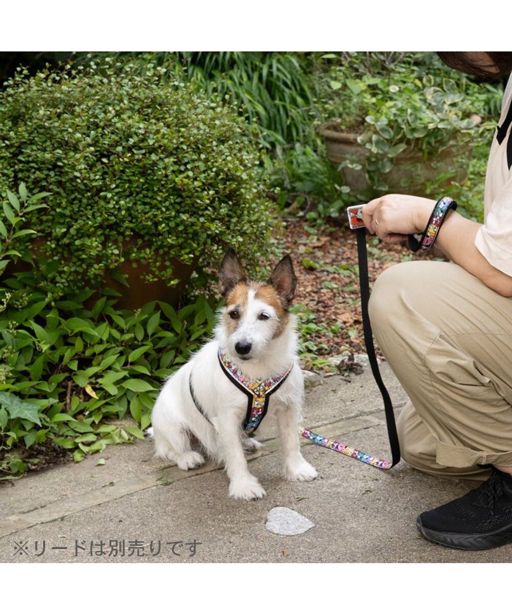 PET PARADISE スヌーピー 75周年 アクティブ ハーネス 小型犬 ３S 