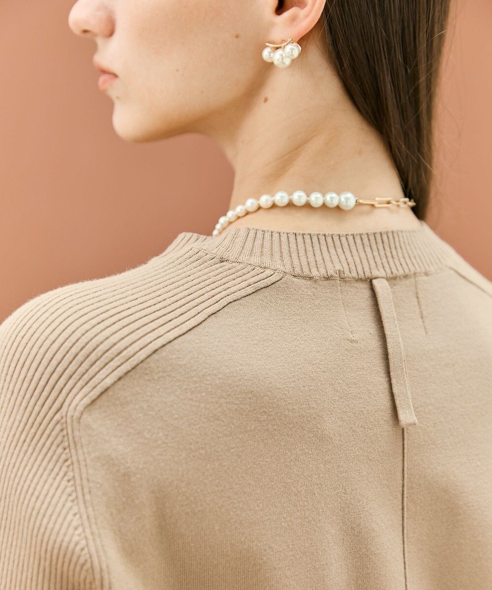 BEIGE， 【WEB限定・洗える】WILLOW / ストレッチクルーネックリブニット 