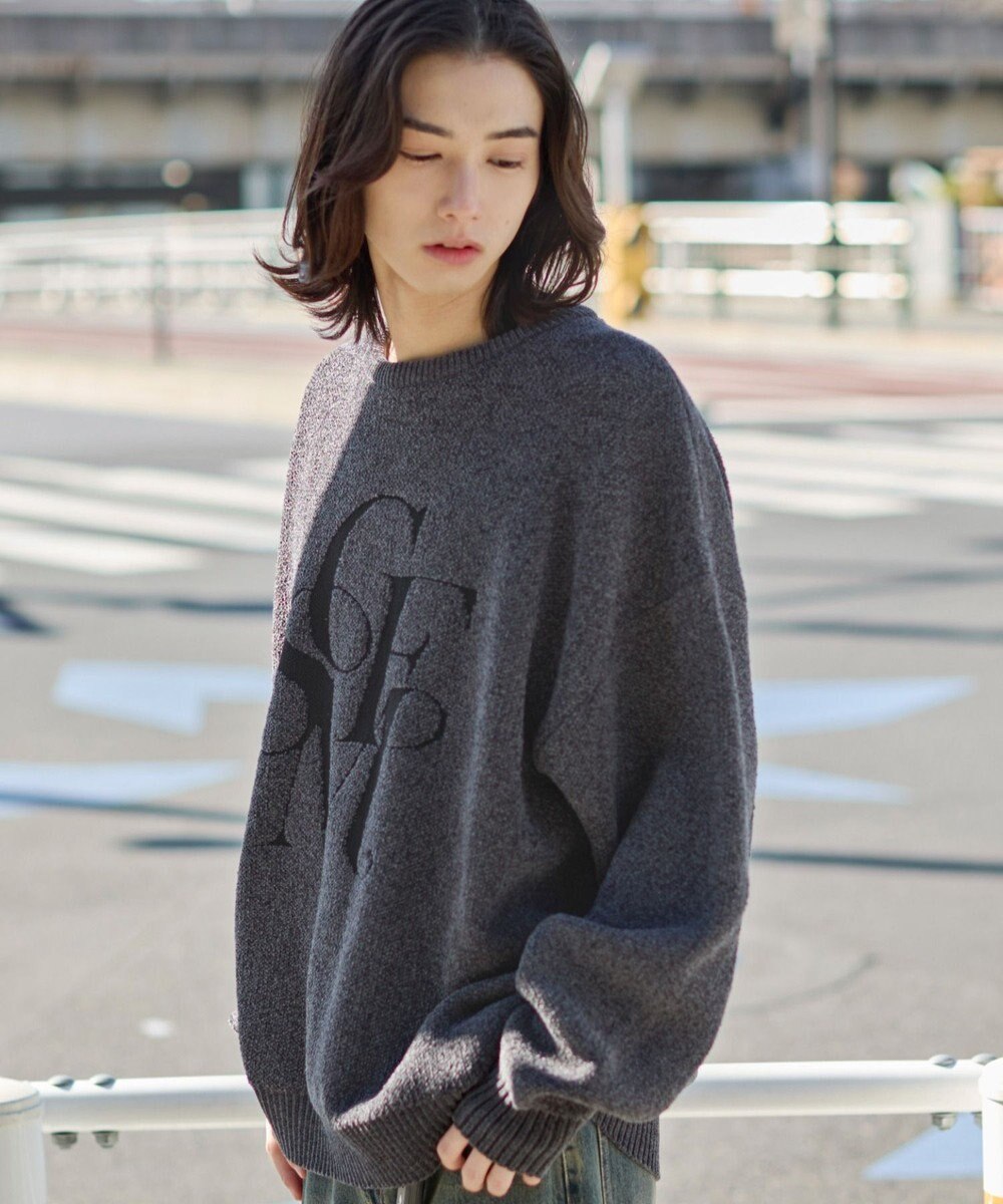 WEGO 【ユニセックス着用ITEM】ベロアモールグラフィックプルオーバー 