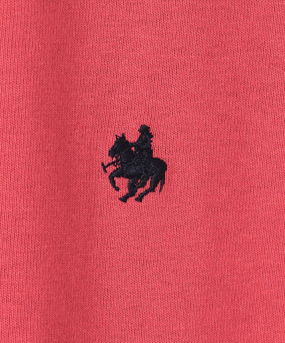ANY POLO BCS別注 プルオーバー 