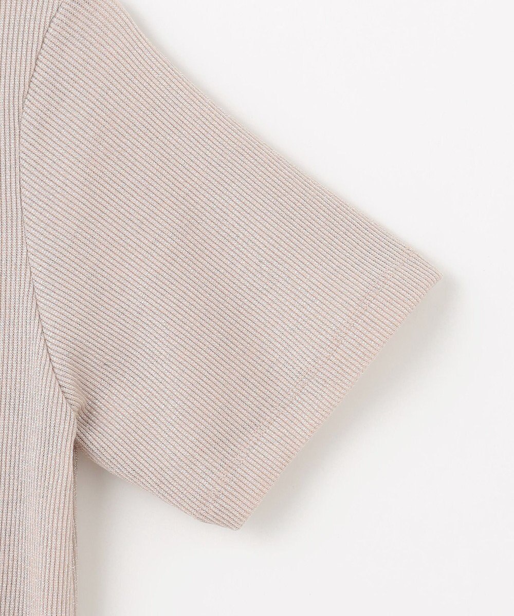 ANY L 【洗濯機可】ラメテレコTシャツ 