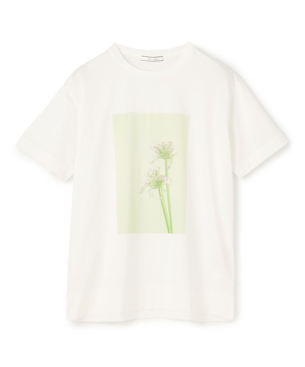 BEIGE， 【洗える・クロワッサン 掲載】PENTAS / オリジナルフォトプリントＴシャツ 