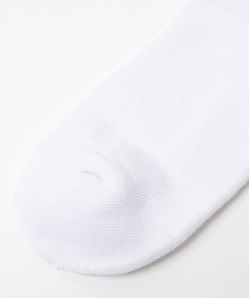 WEGO アニマル刺繍ワンポイントソックス 