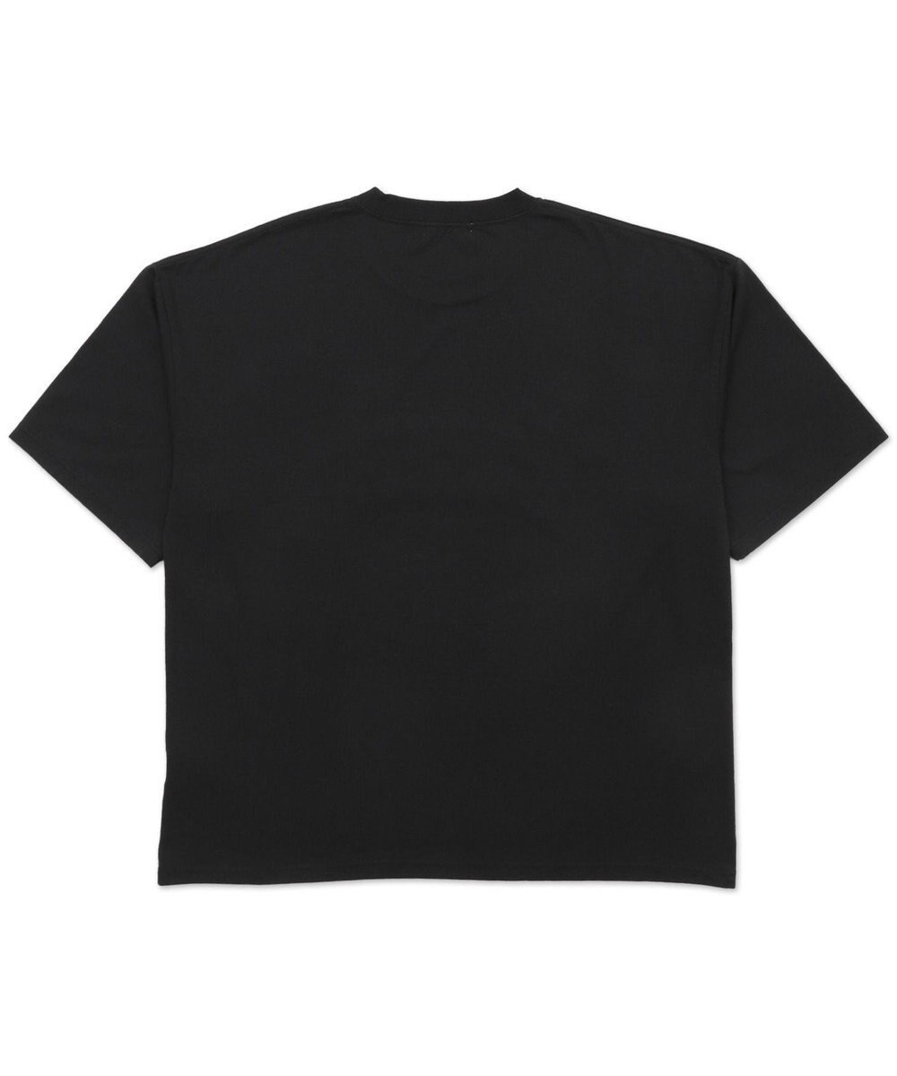 WEGO ダメージアップリケグラフィックT（SS） 