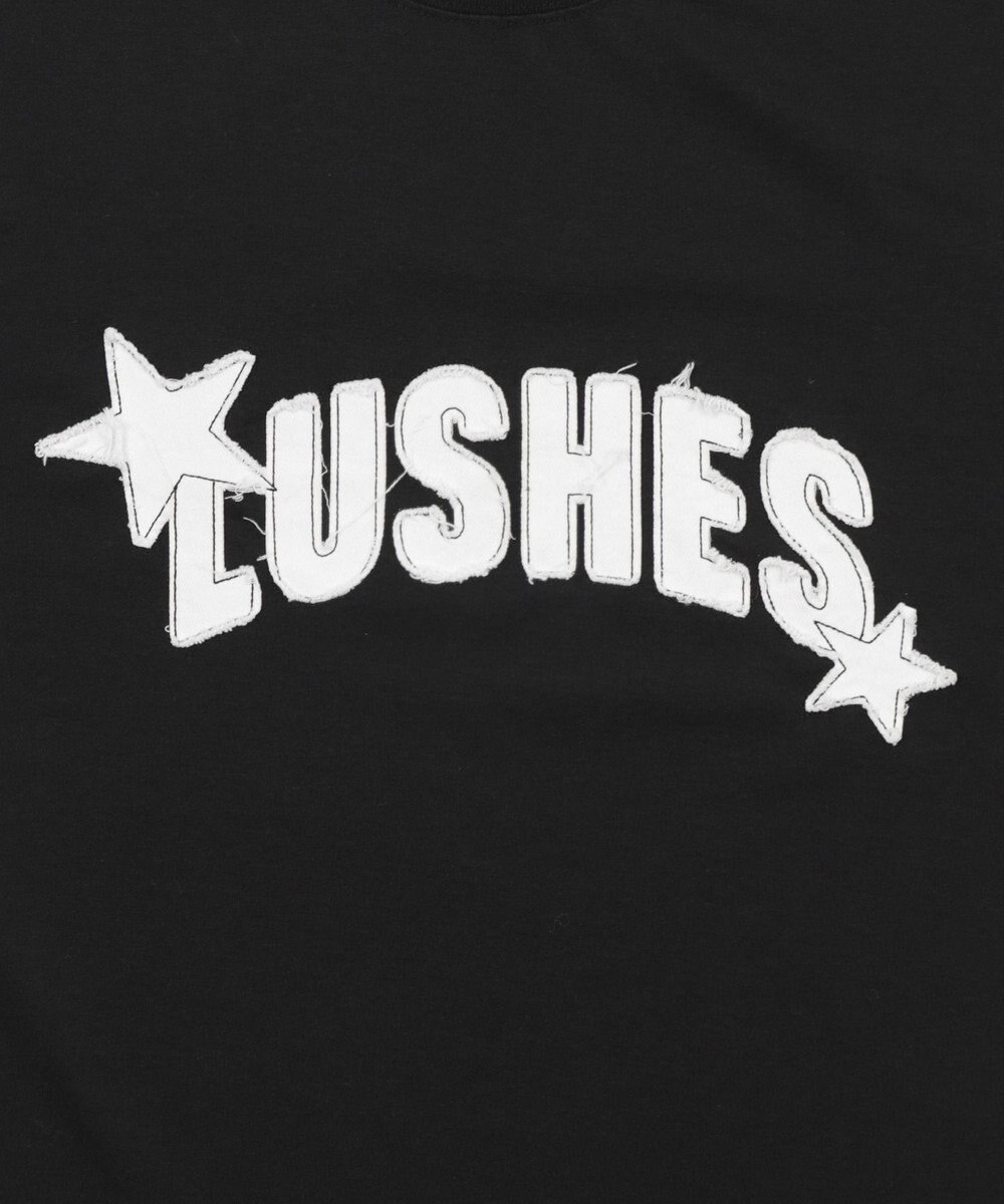 WEGO ダメージアップリケグラフィックT（SS） 