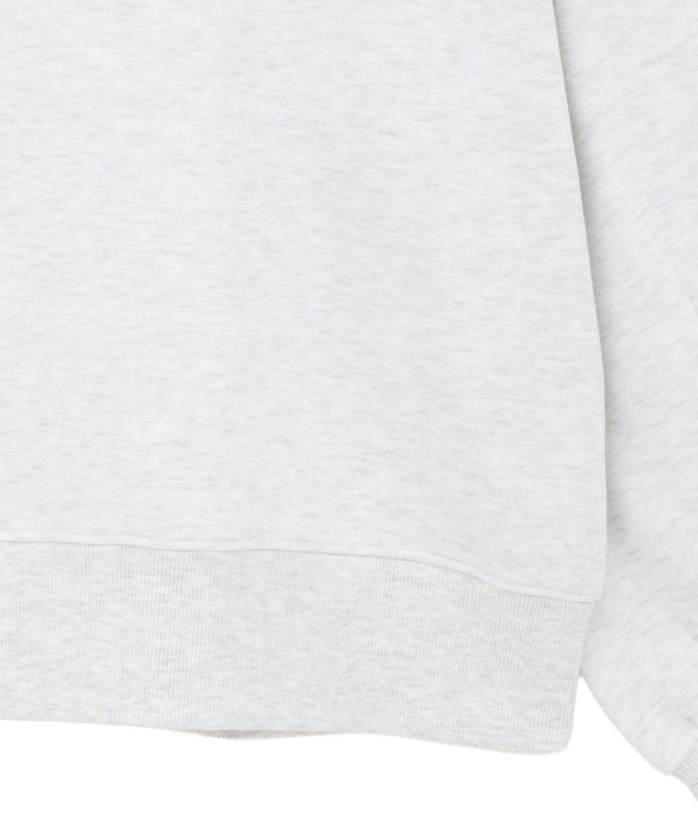 AMERICAN HOLIC カレッジロゴ裏起毛プルオーバー 