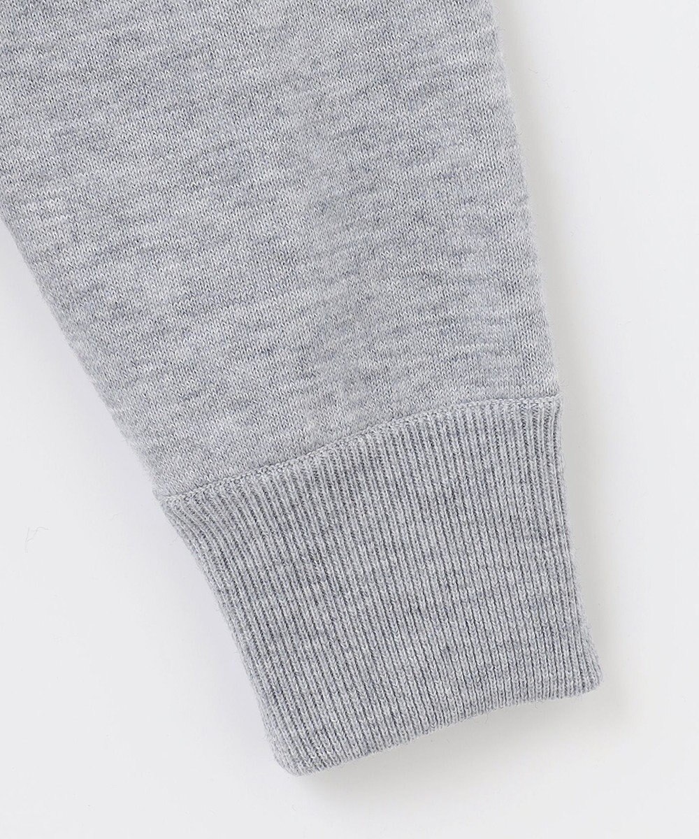 PW CIRCULUS 【MEN】【洗える】ベアスタンドモチーフ ラグランスリーブ クルーネック ニット 