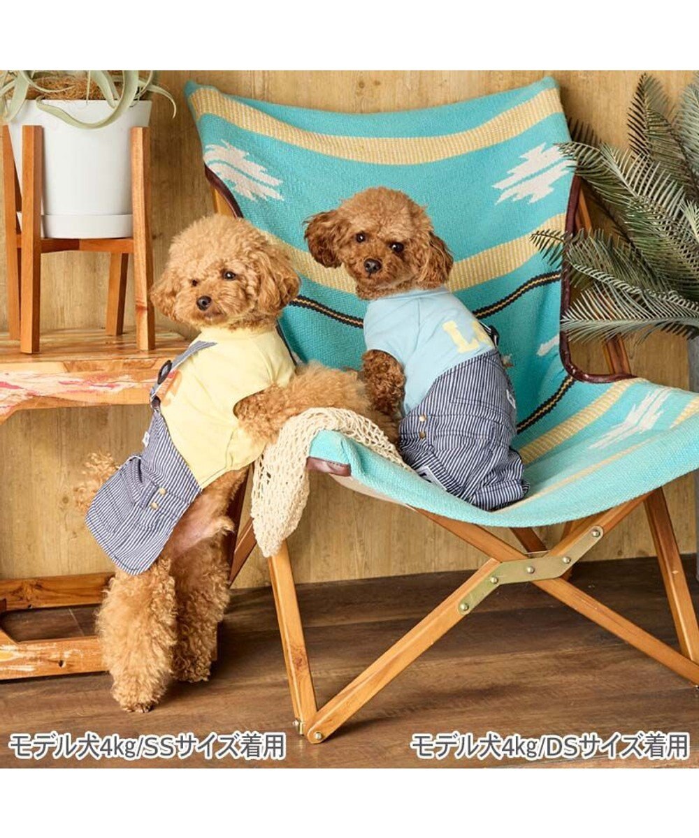 PET PARADISE Lee ワンショルダー パンツつなぎ 《ヒッコリー》 小型犬 