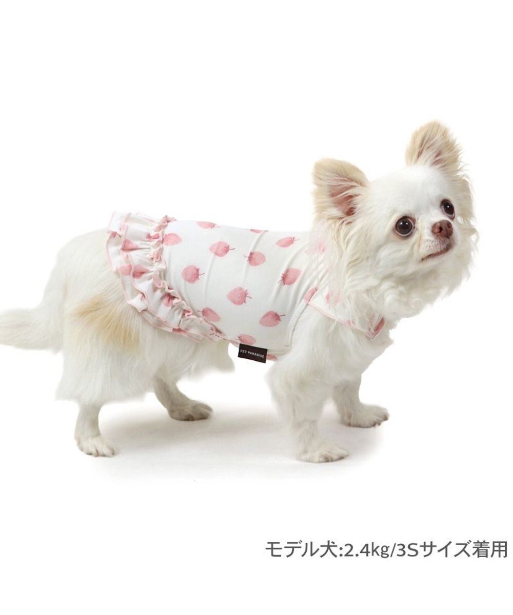 PET PARADISE ペットパラダイス タッチワンクールプラス Tシャツ 《いちご》 小型犬 