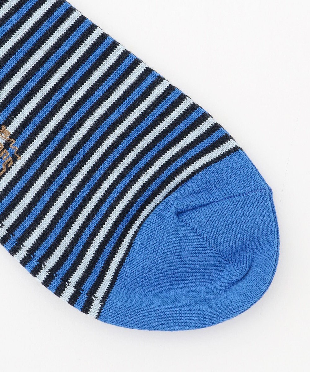 J.PRESS MEN 【カジュアル】ボーダーソックス 