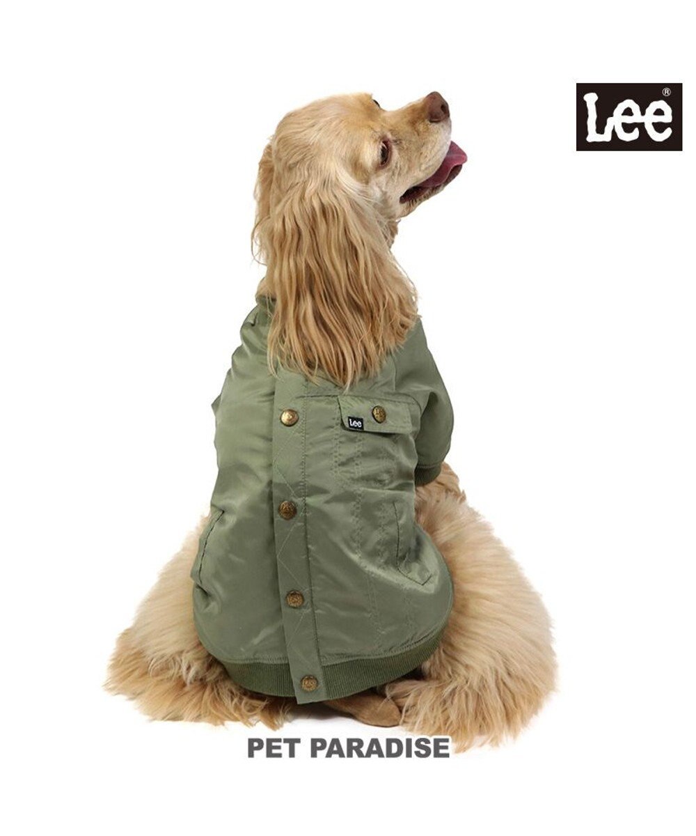PET PARADISE LEE ライダースブルゾン 中型犬 大型犬 