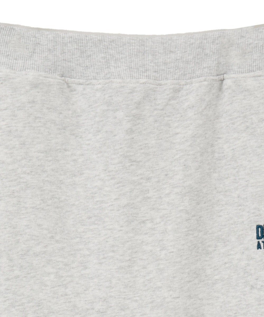 AMERICAN HOLIC Discus 裏毛スカート 