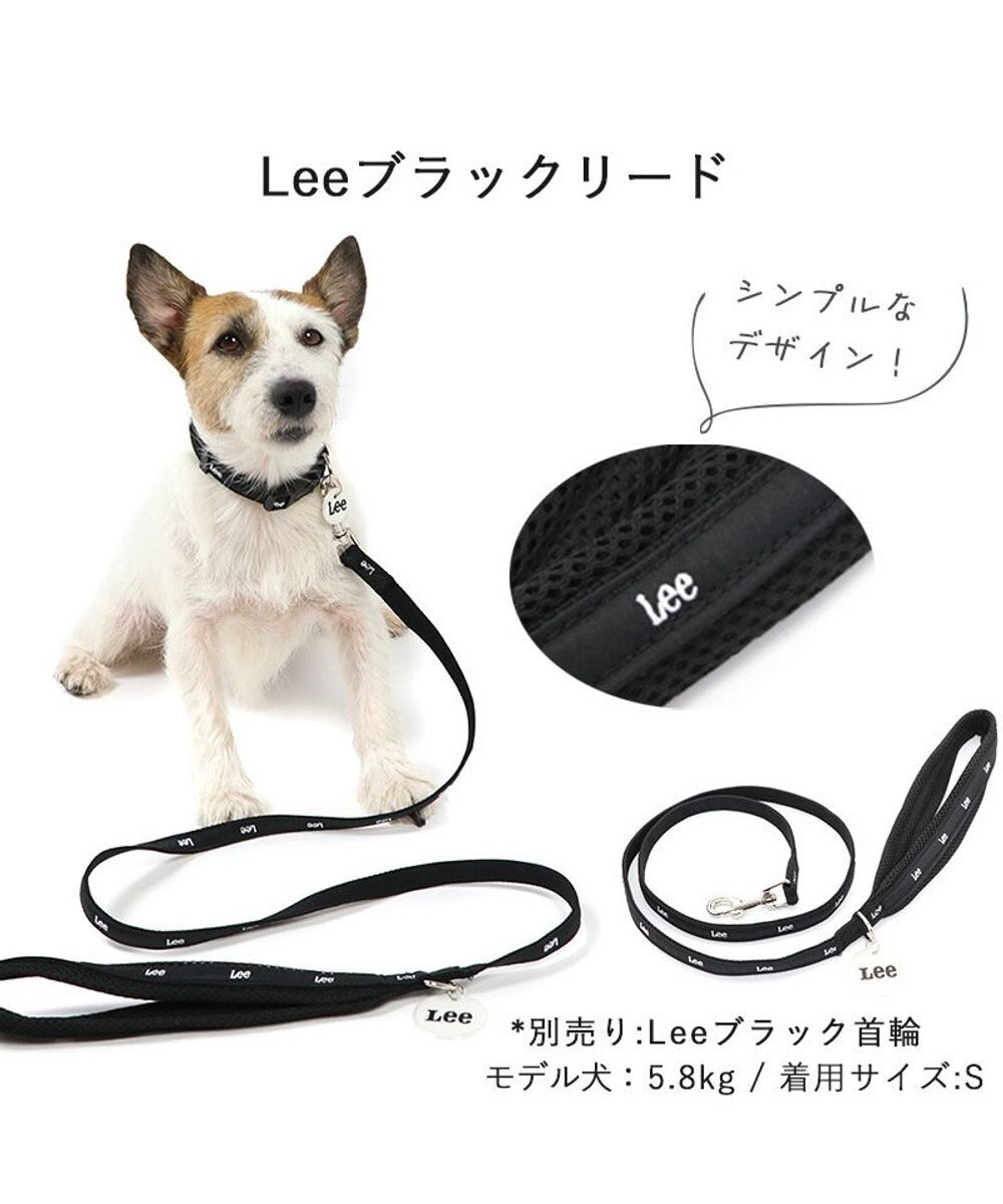 PET PARADISE 犬 リード Ｌｅｅ おしゃれ 【４Ｓ~３Ｓ】 反射 チャーム付き 