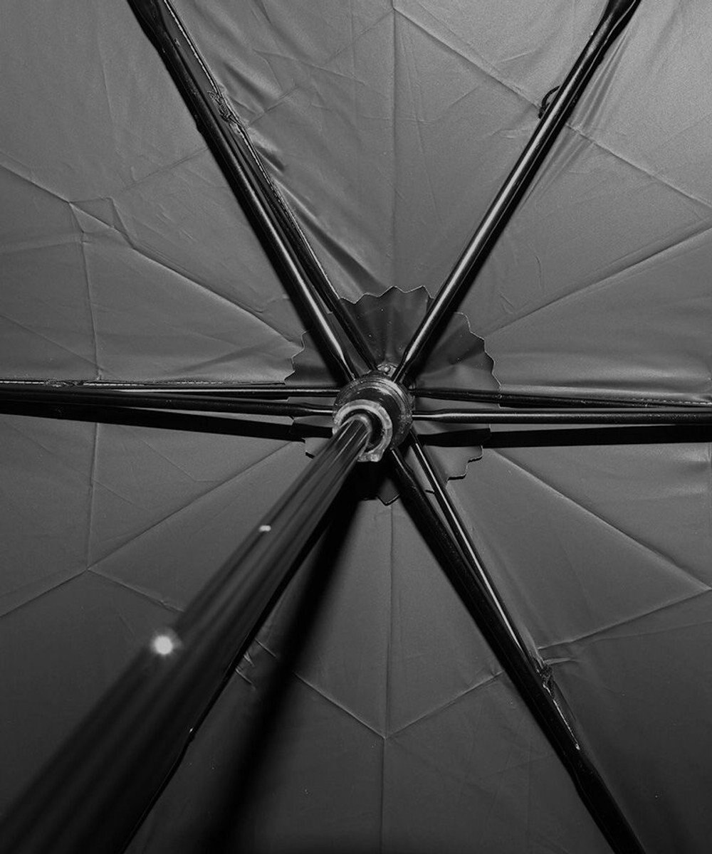 AURORA 【 Beaurance （ビューランス）】サマーシールド プリント夢が棲む場所　晴雨兼用傘（折りたたみ傘） 