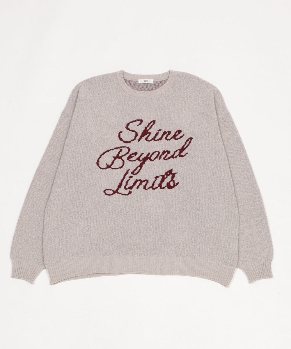 WEGO 【ユニセックス着用ITEM】ベロアモールグラフィックプルオーバー 