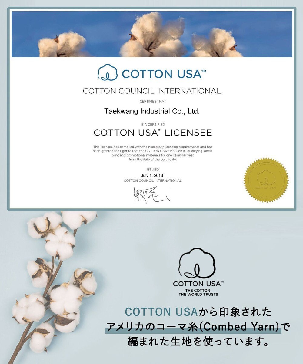 Tiaclasse 【GOLD LABEL・洗える】アシメプリーツポンチワンピース 