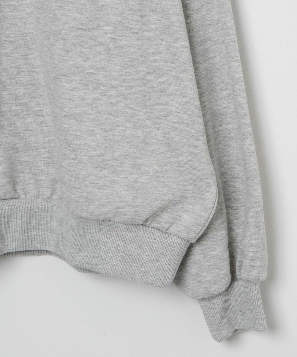 WEGO ハーフジップBIGスウェット 