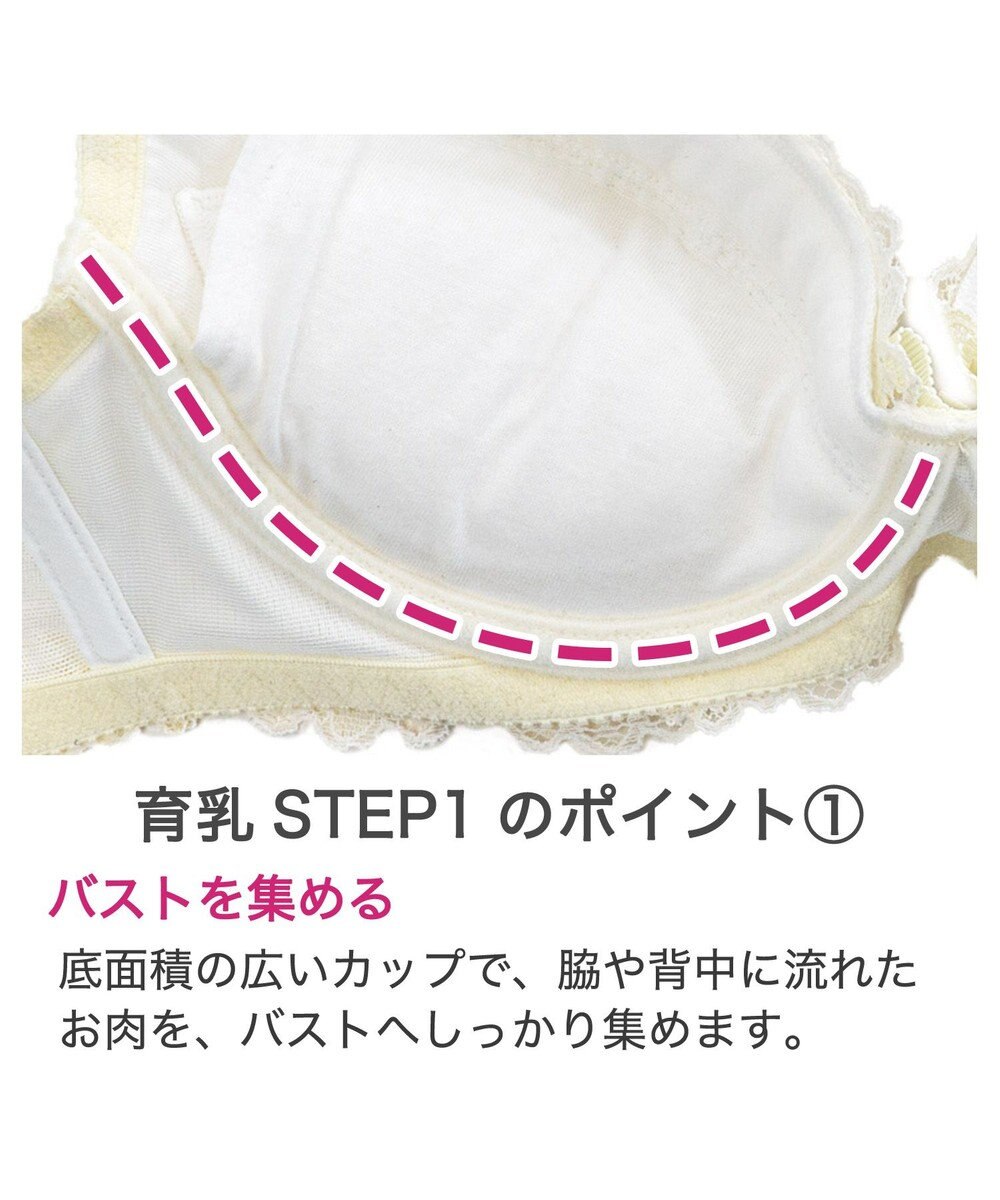 BRADELIS New York 【BRADELIS New York / 育乳補整ブラ・STEP1 集める】ジャスミンステップ1ブラ24S3 