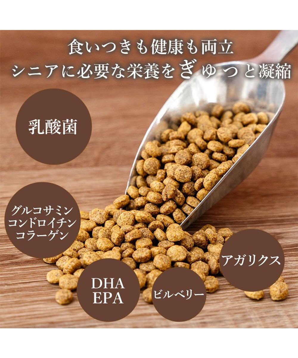 PET PARADISE ビオキッチン エイジングネオ １ｋｇ 