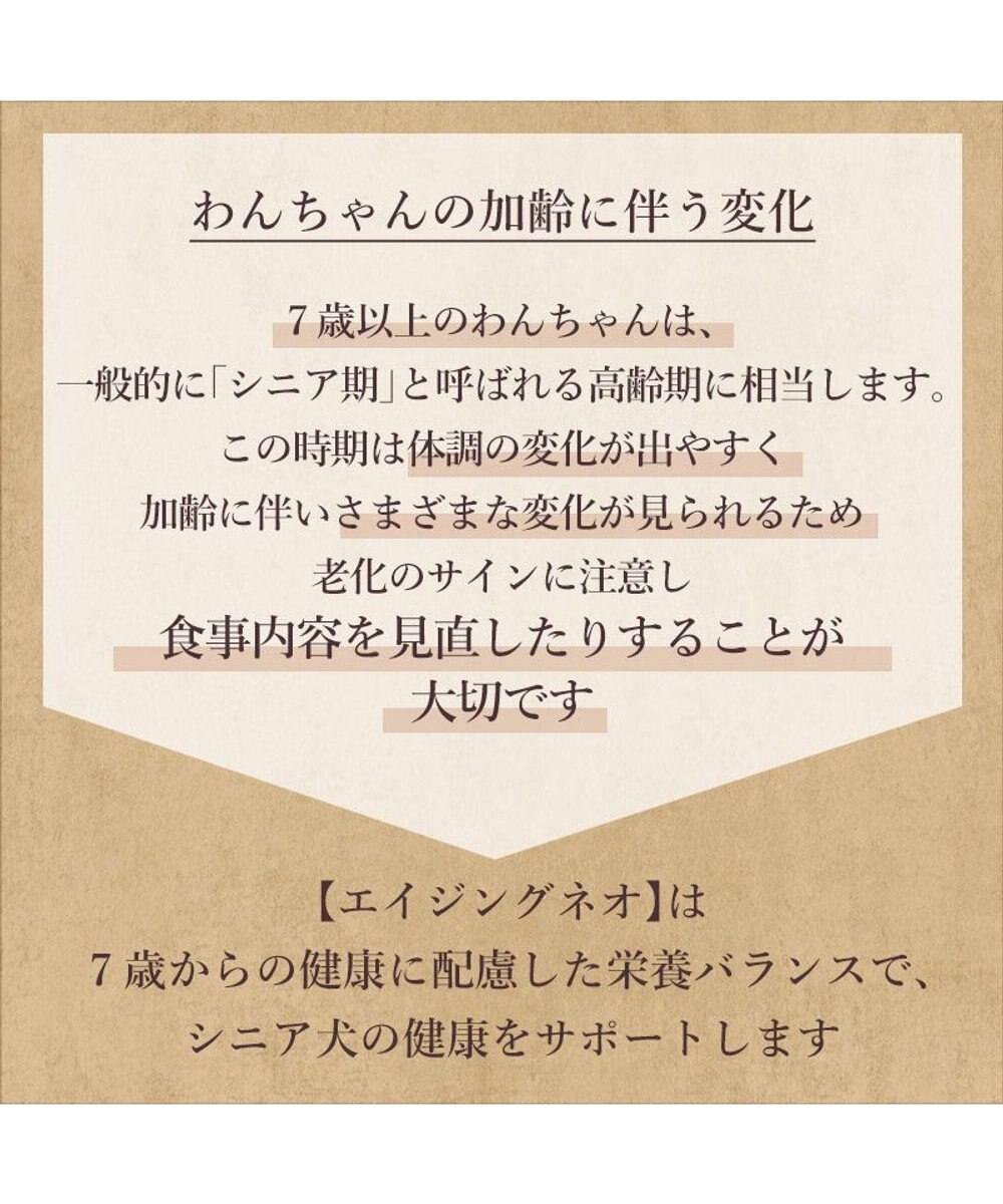 PET PARADISE ビオキッチン エイジングネオ １ｋｇ 