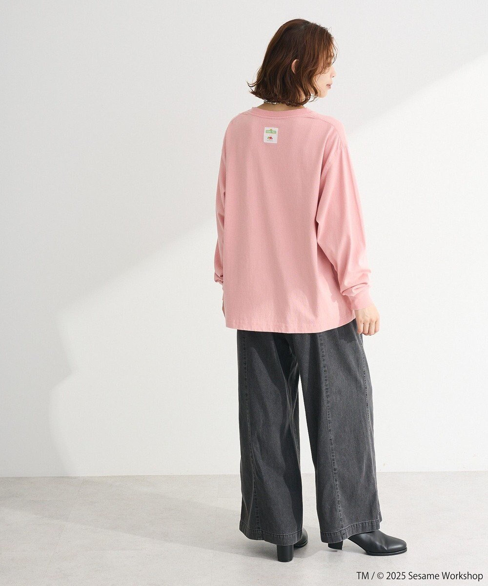 Green Parks セサミストリートミーツフルーツオブザルーム　ロンＴＥＥ 