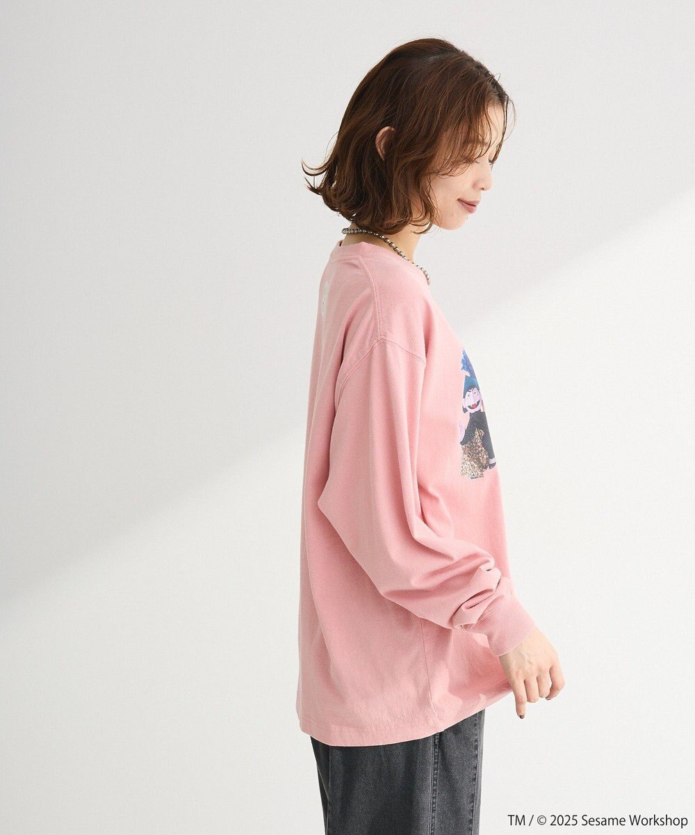 Green Parks セサミストリートミーツフルーツオブザルーム　ロンＴＥＥ 