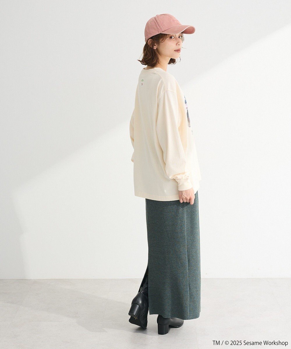 Green Parks セサミストリートミーツフルーツオブザルーム　ロンＴＥＥ 