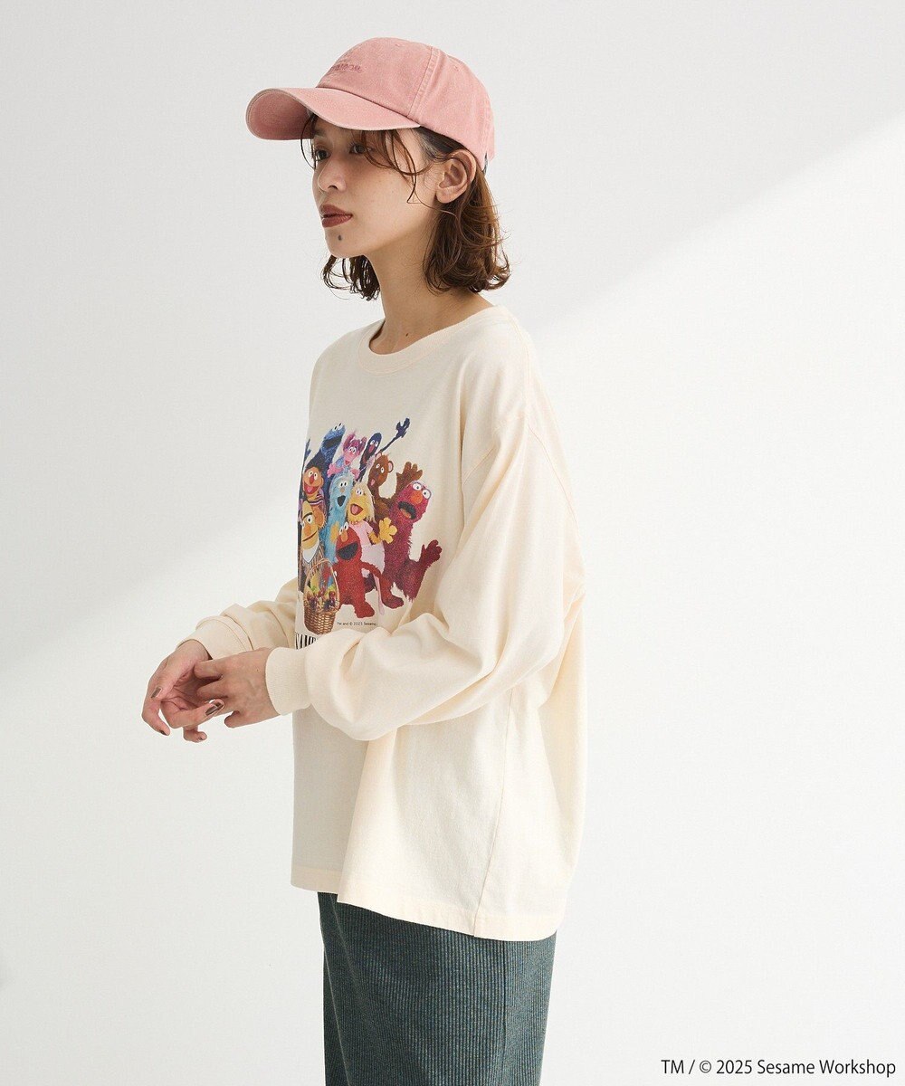 Green Parks セサミストリートミーツフルーツオブザルーム　ロンＴＥＥ 