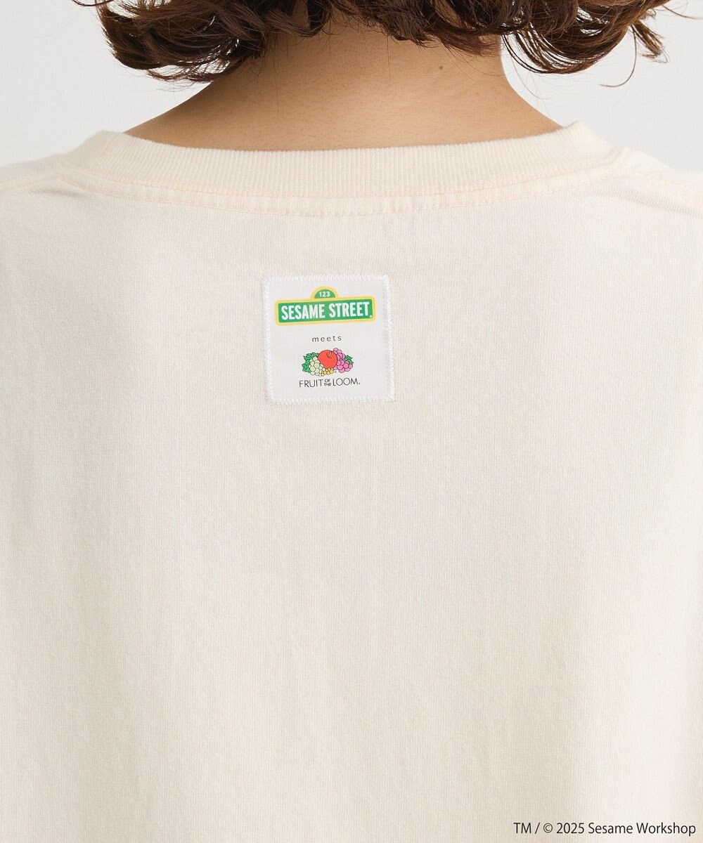 Green Parks セサミストリートミーツフルーツオブザルーム　ロンＴＥＥ 