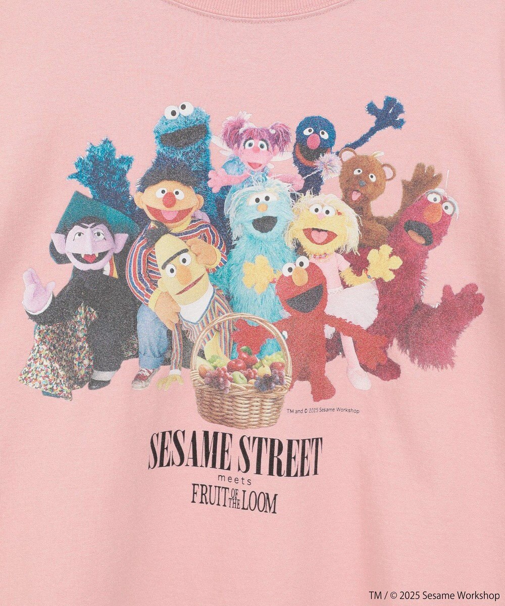 Green Parks セサミストリートミーツフルーツオブザルーム　ロンＴＥＥ 