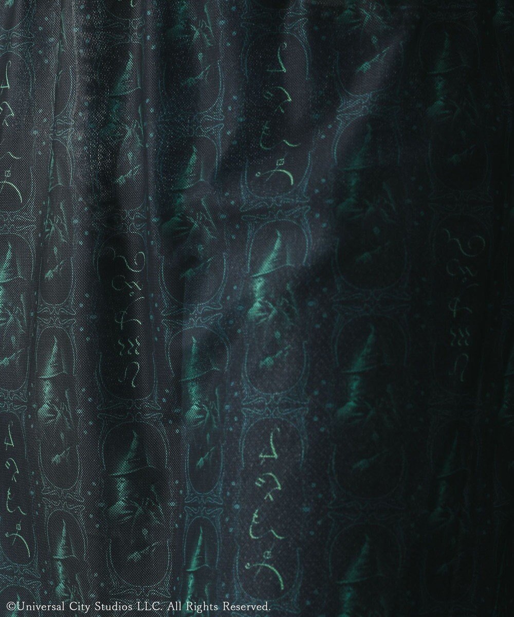 Green Parks ■ＷＩＣＫＥＤ　パターンシアースカート 