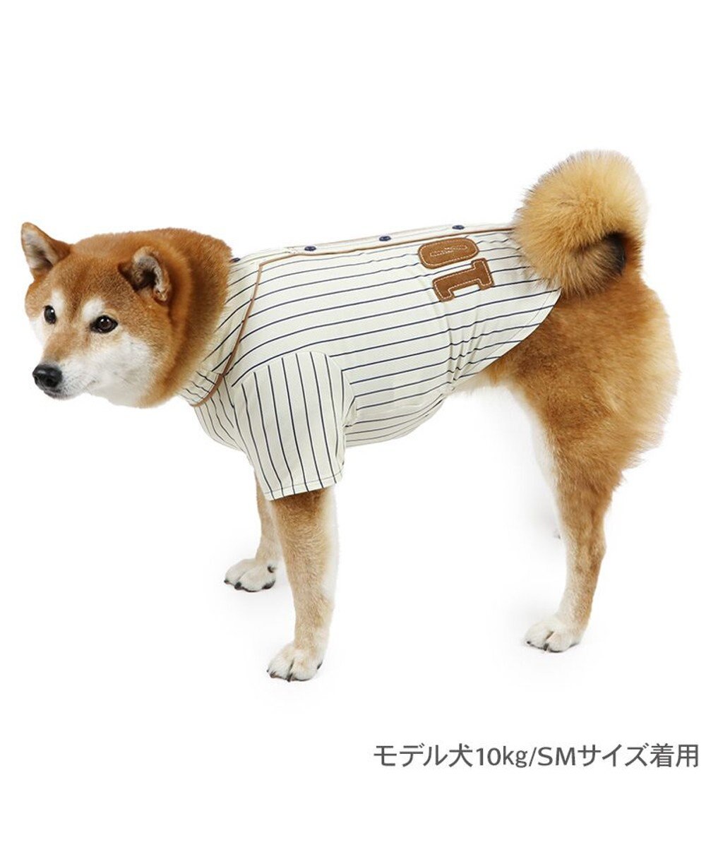 PET PARADISE ペットパラダイス 野球 Tシャツ 中型犬 