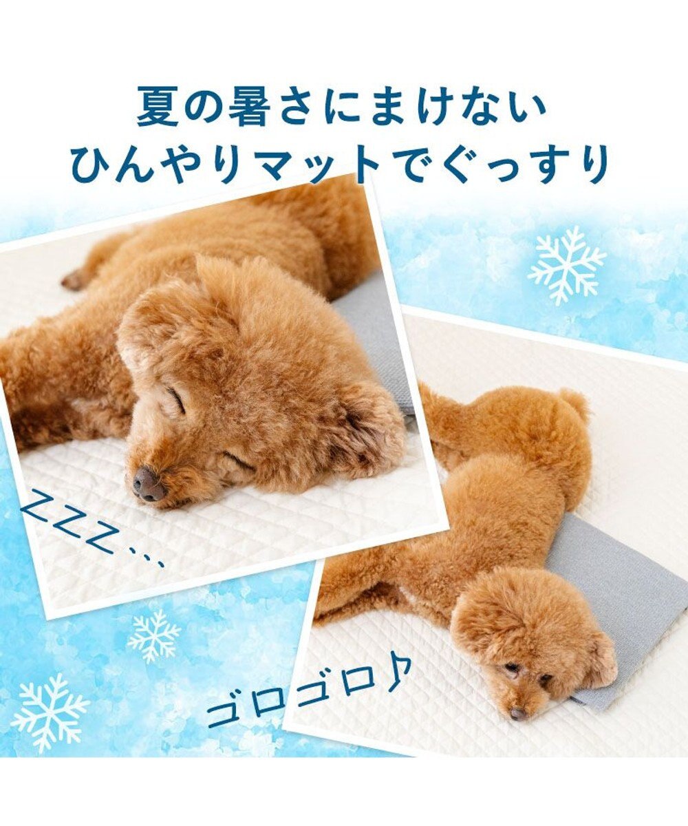 PET PARADISE ペットパラダイス  コンパクトクーラー グレー 2026 