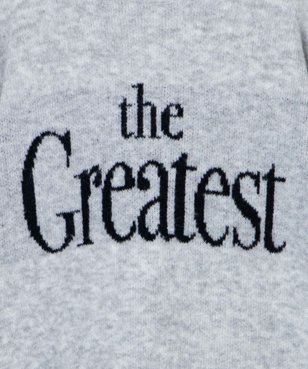 WEGO フラッフィーロゴジャガードニットプルオーバー 