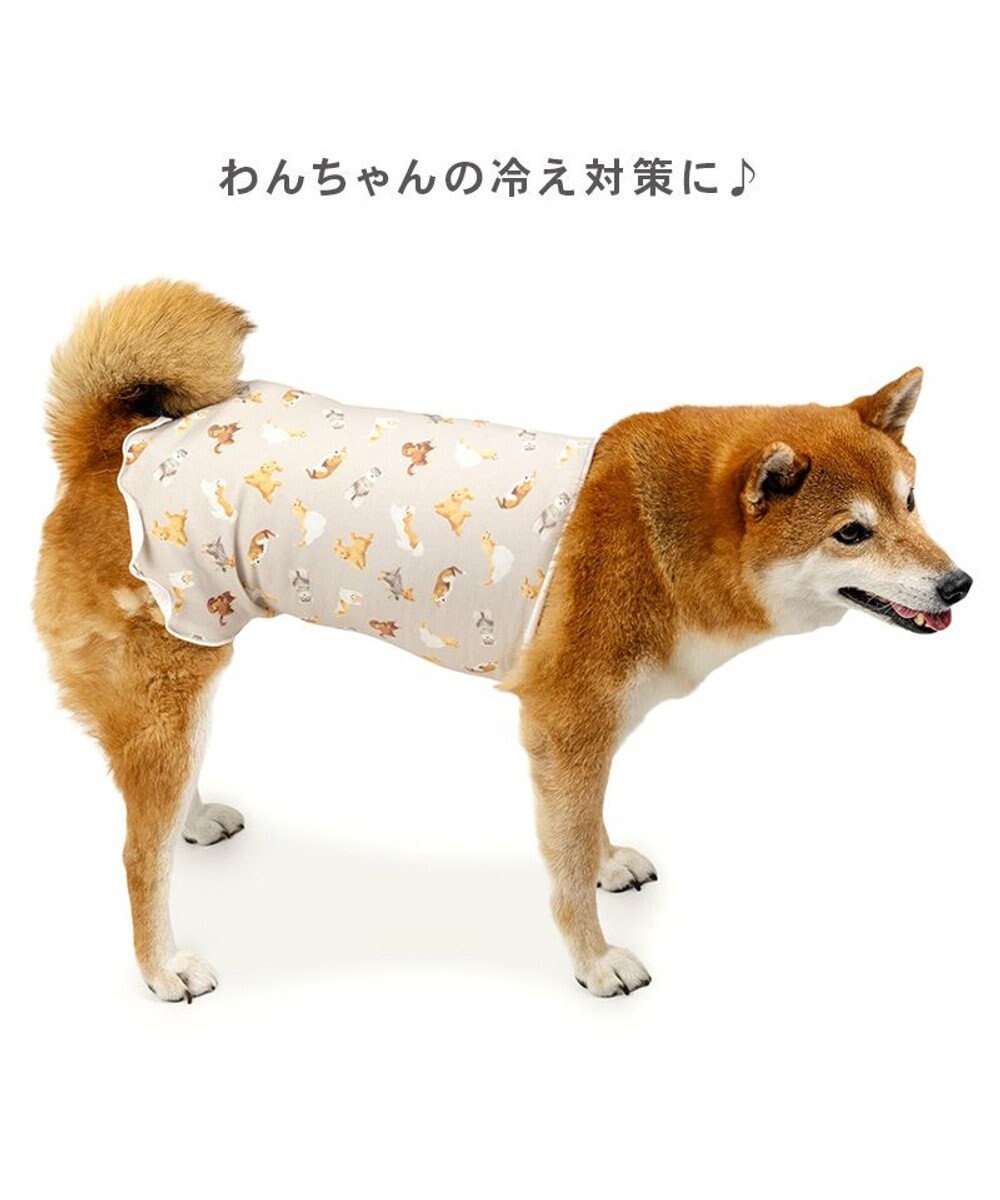 PET PARADISE ペットパラダイス makokoro ペティヒート 腹巻 《犬柄》 中型犬 大型犬 