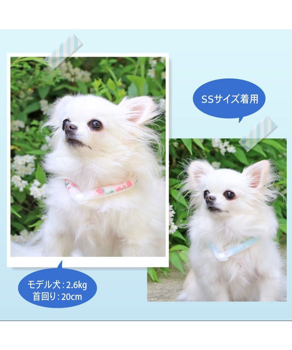 PET PARADISE ペットパラダイス 28℃クールリング SUO 《いちご柄》 〔ＳＳ〕 小型犬 
