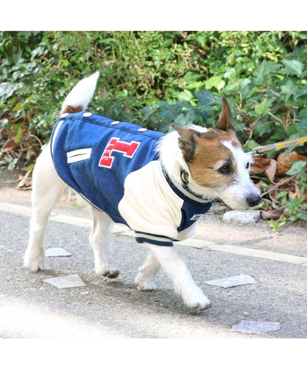 PET PARADISE Lee スタジャン 小型犬 