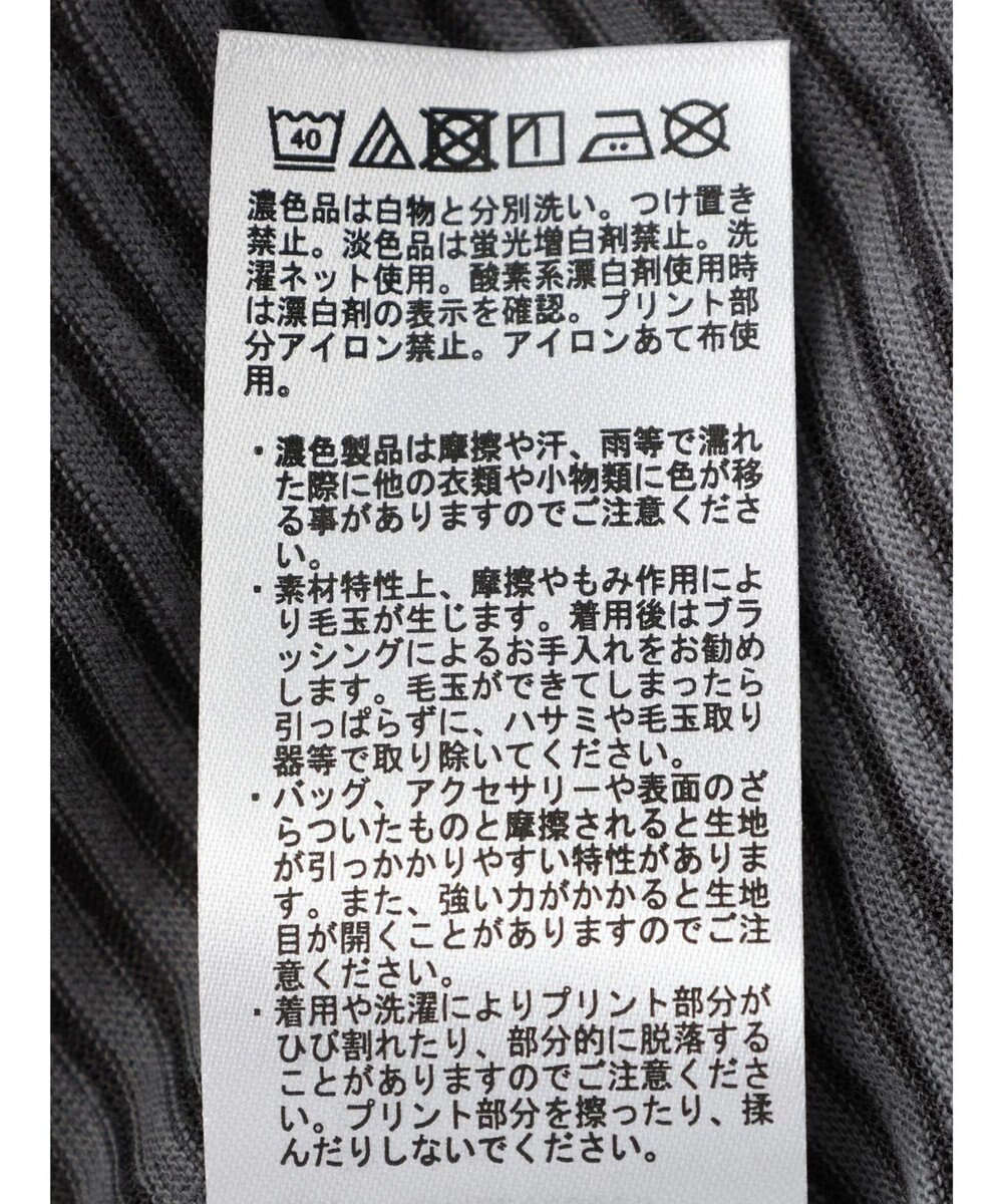 Green Parks シアーボーダーロゴプルオーバー 