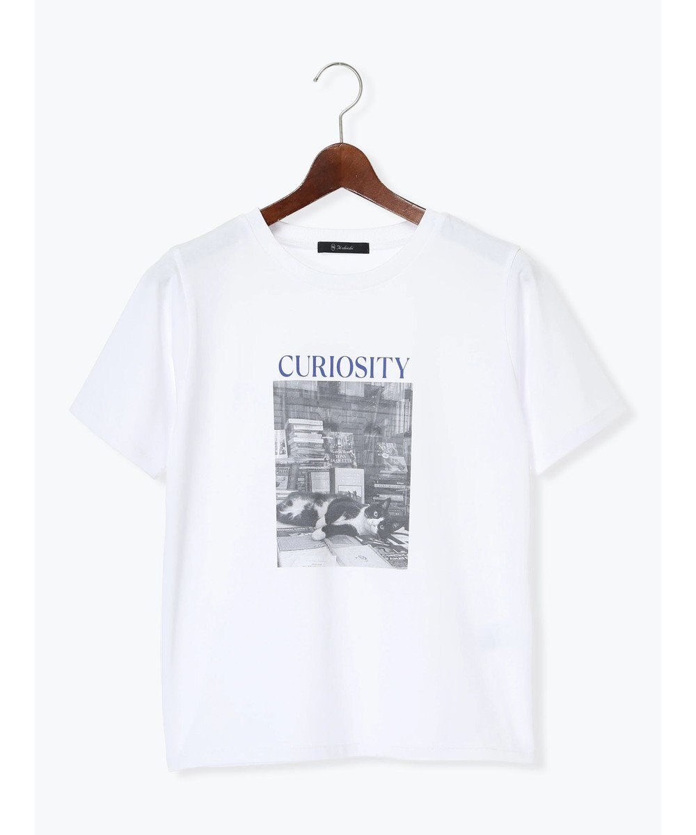 Te chichi アソートネコフォトスタンダードTシャツ 