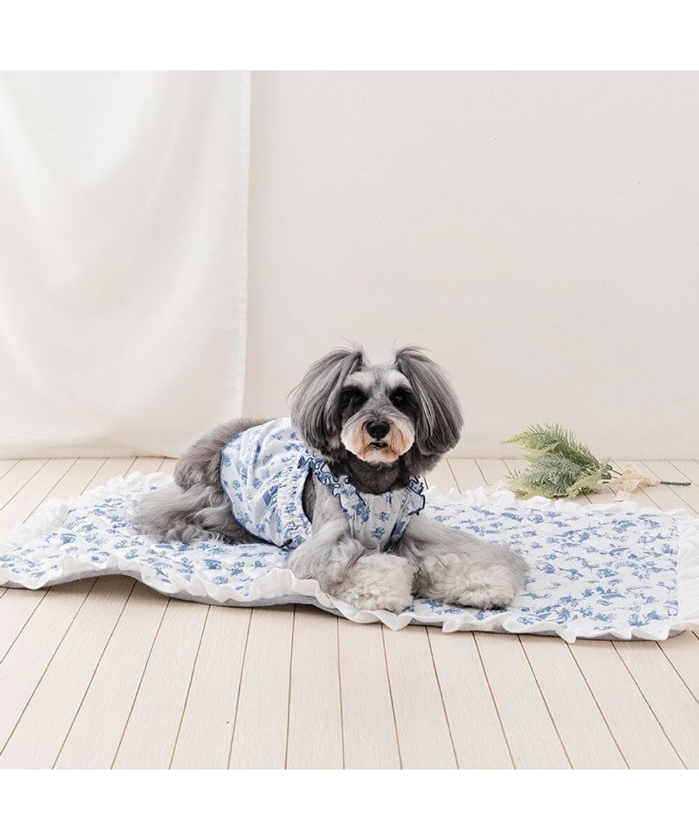 PET PARADISE ペットパラダイス エコメイド 天竺 キャミソール 《トワルドジュイ》小型犬 