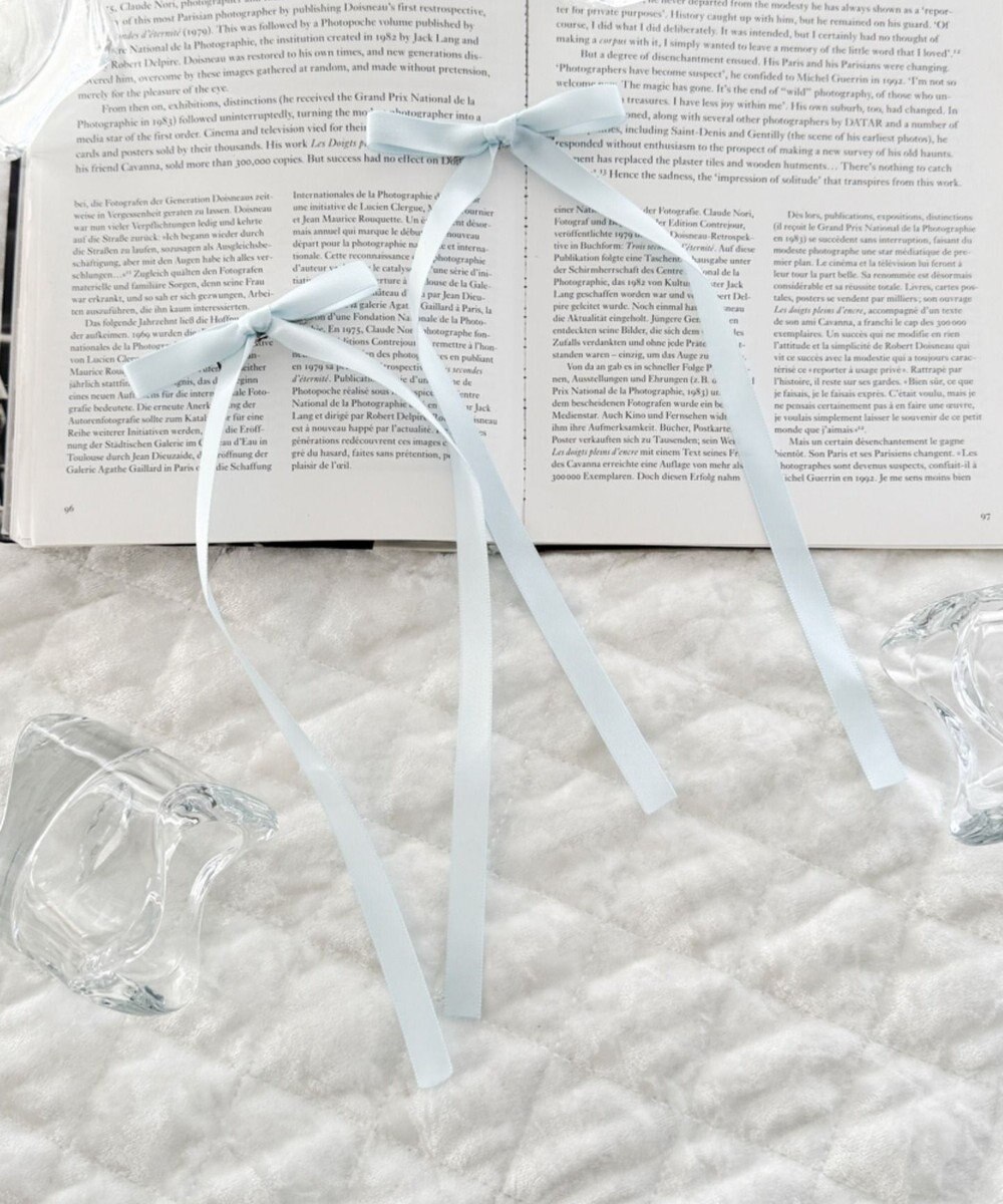 WEGO L2Pロングナローリボンクリップ 