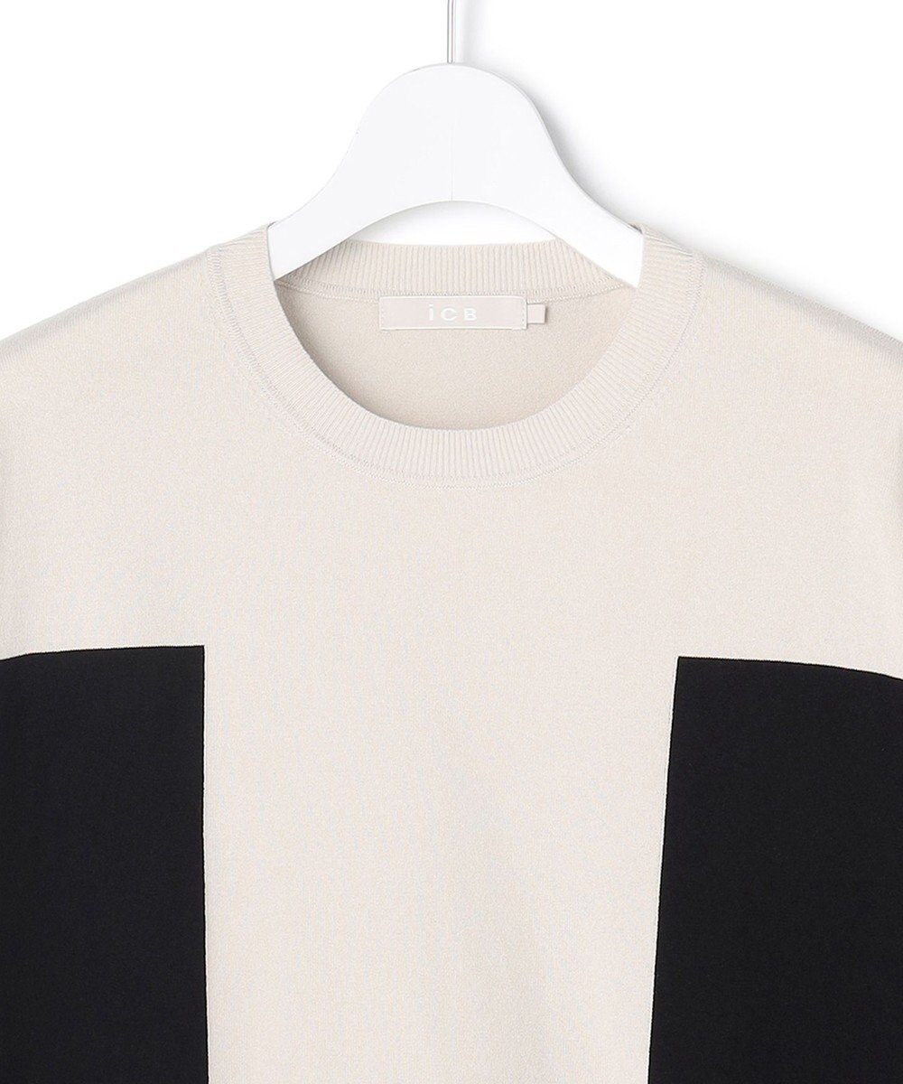 ICB 【洗える】マットヴィスコースポリエステル ブロッキングニット 