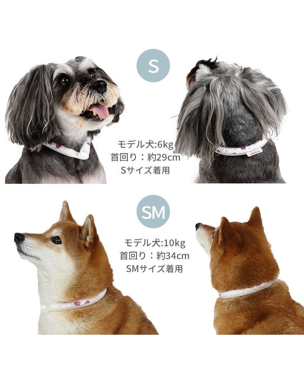 PET PARADISE ペットパラダイス 28℃クールリング  《いちご》 ＳＭ 中型犬 