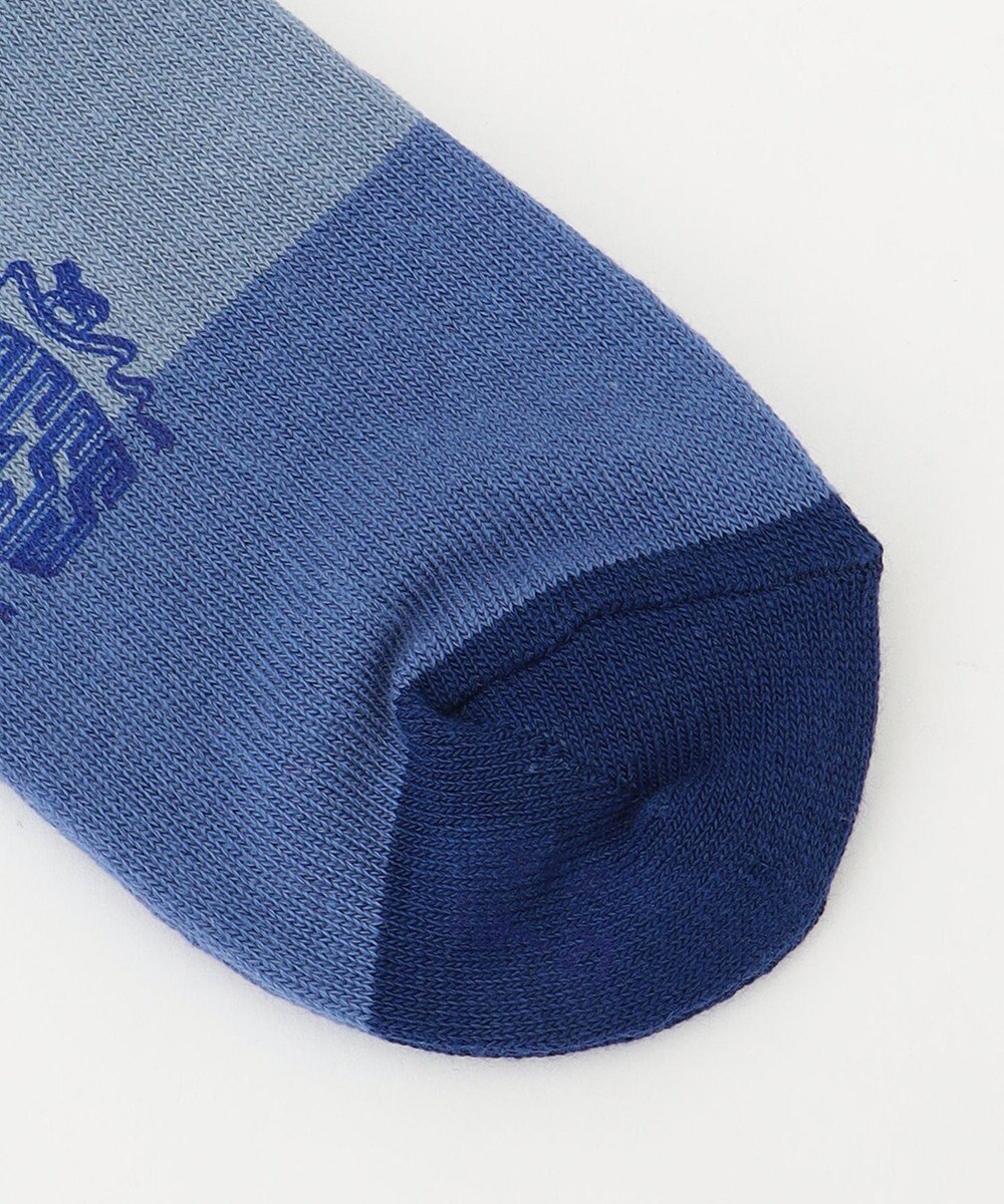 J.PRESS KIDS 【19-26cm】ボーダーソックス 